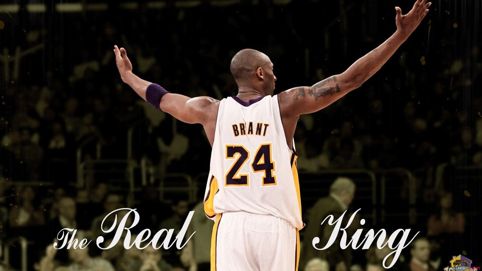 开云官网-山西龙狮年轻球员迅速成长表现超预期，龙狮队介绍